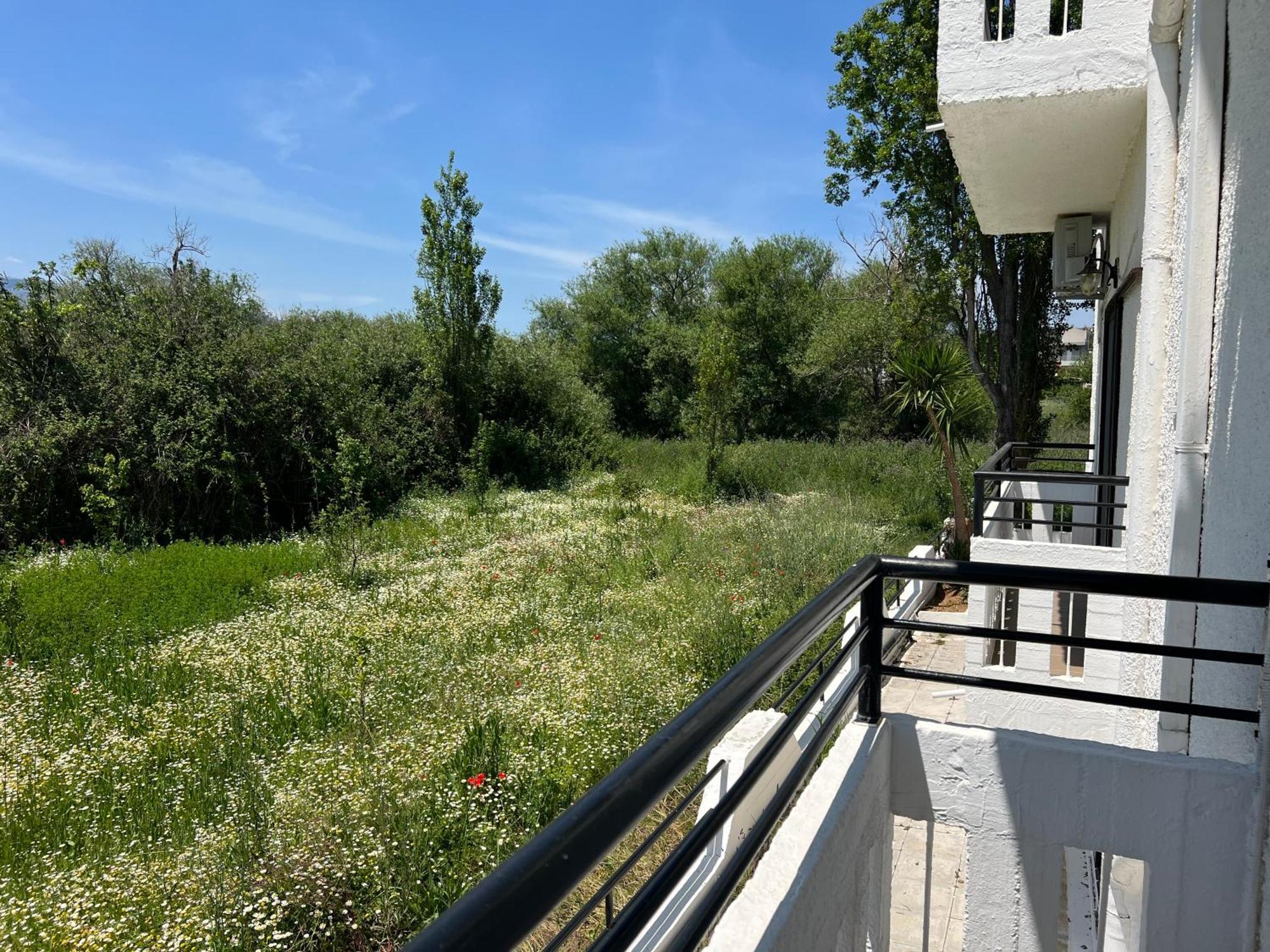 Zourpos Studios & Apartments Каливес Экстерьер фото